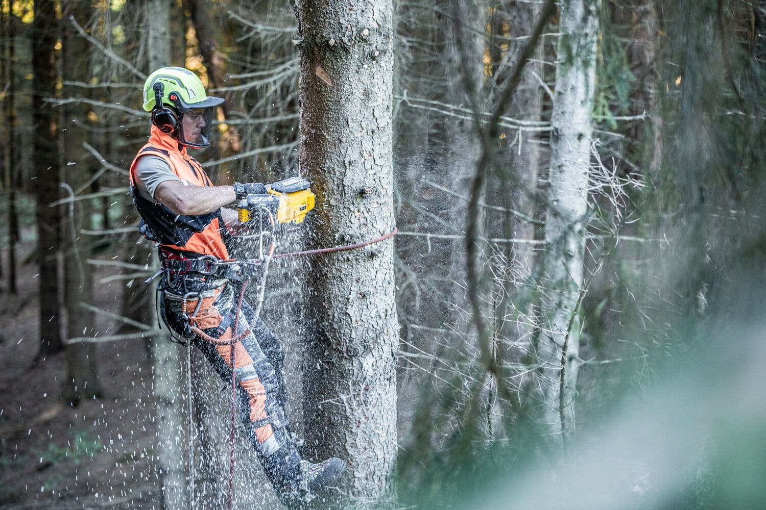 Trabajador corta árbol con motosierra DEWALT, lleva casco y equipo de seguridad, aserrín volando.