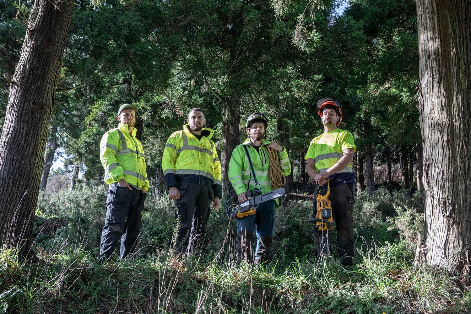 Cuatro trabajadores con equipo de seguridad y motosierras en un bosque entre árboles.